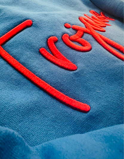 MVP Sweatshirt | 3D Customizable to your team | Collar Accent